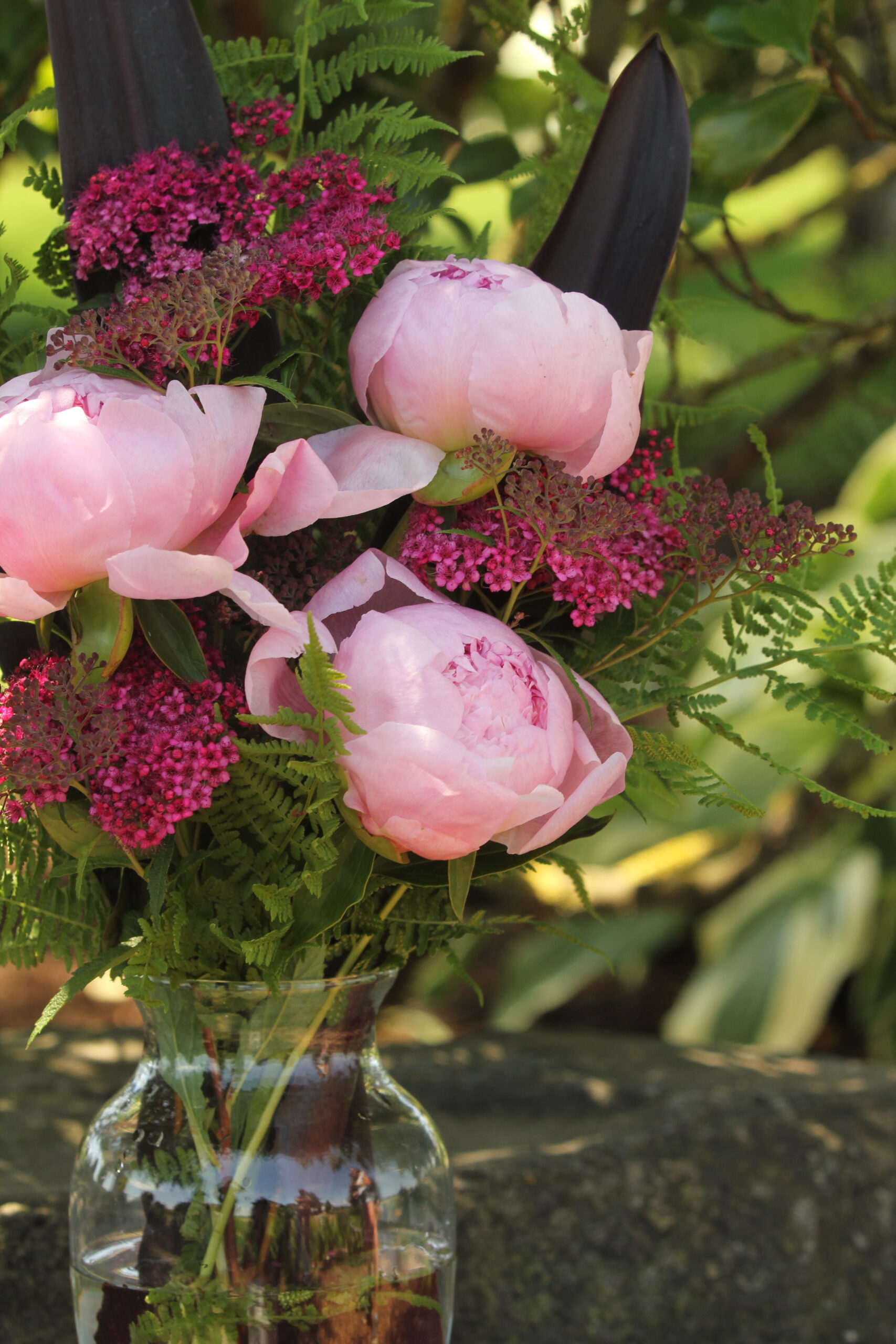 Woman holding bouquet of pink and light pink peonies